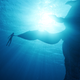 navi holding a whale fin